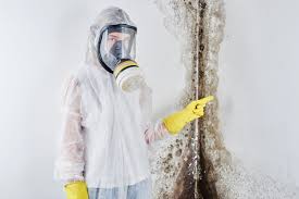 Mold Remediation for Rental Properties in Mead, CO